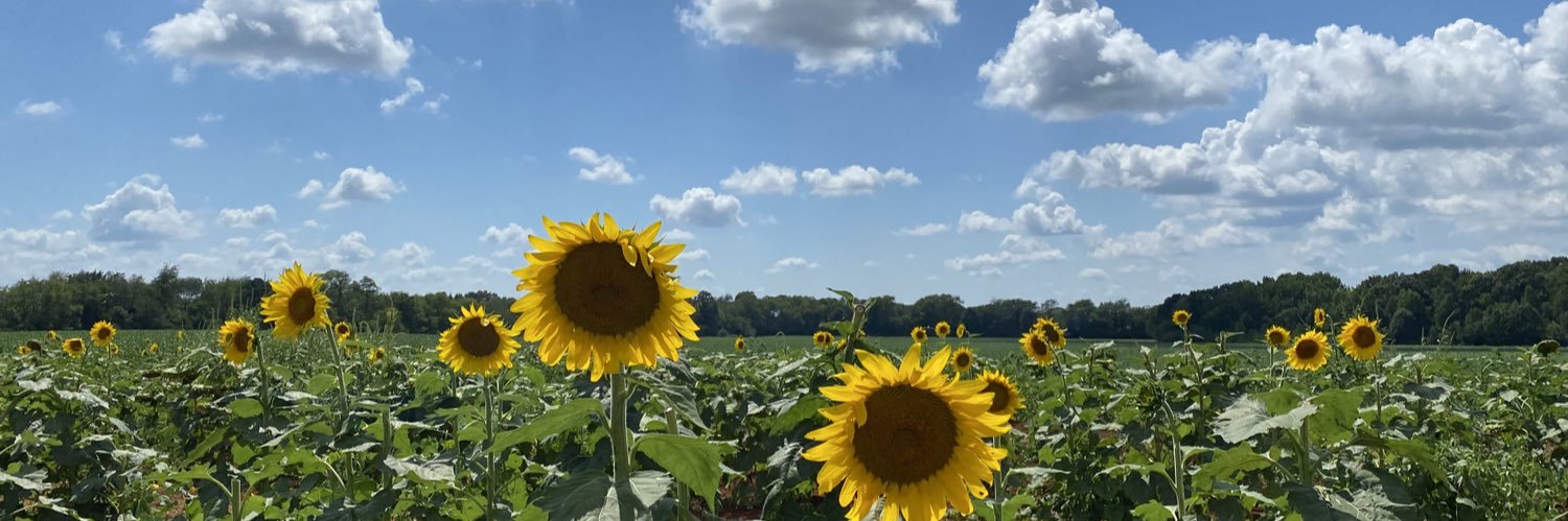 McMadss's profile banner image
