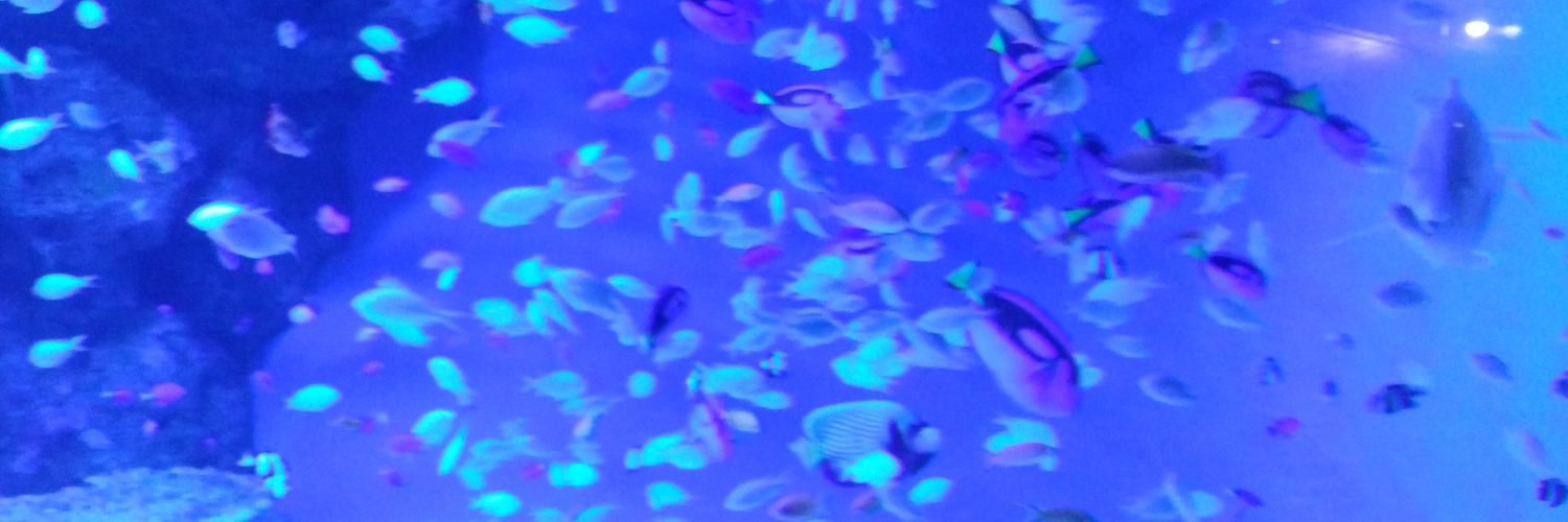 tsub0k072's profile banner image