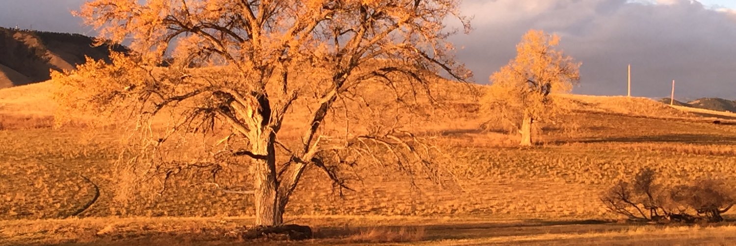 gr8fulred's profile banner image