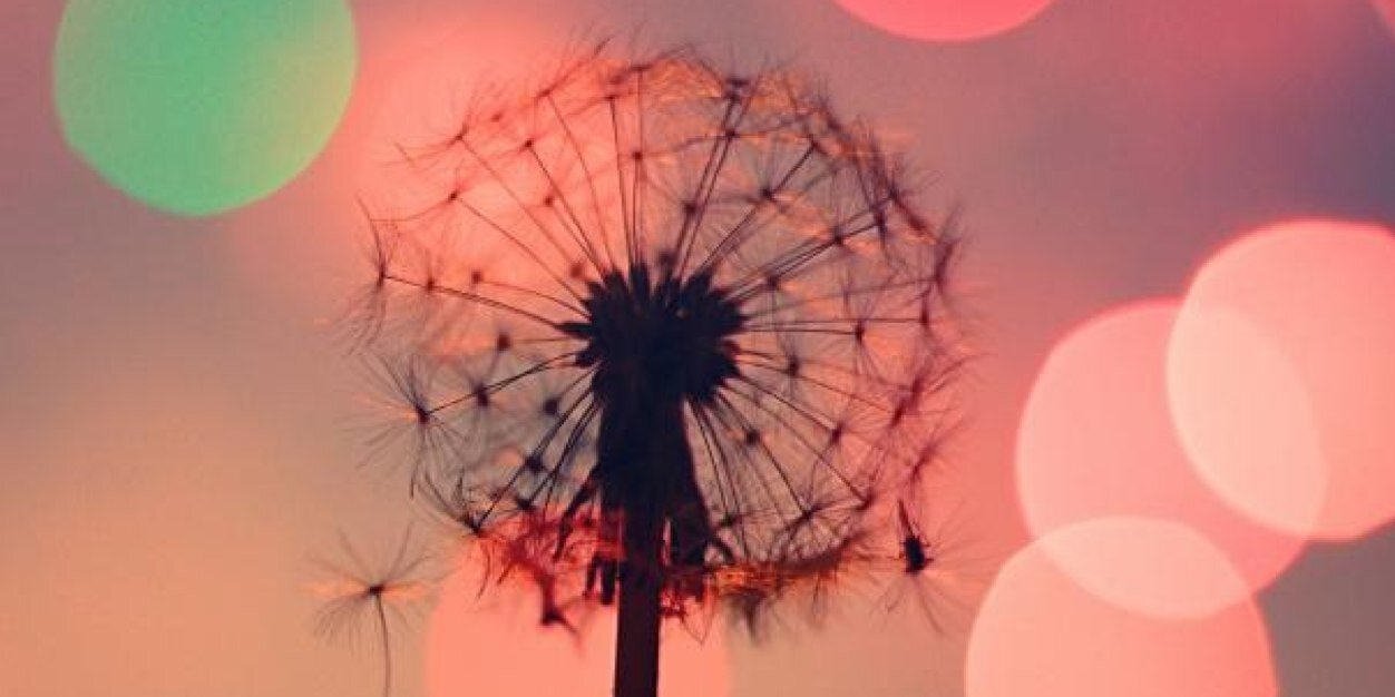 RaquelAlvarez29's profile banner image