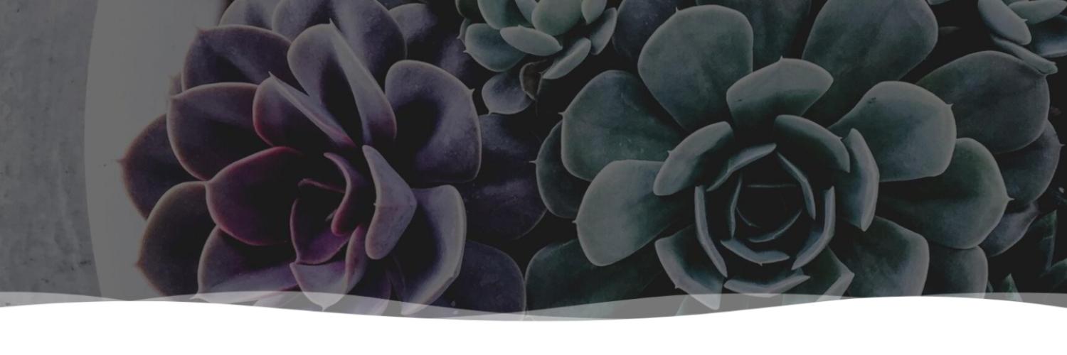 CarrieAButler's profile banner image