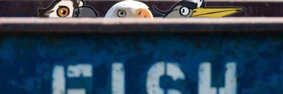 Ozawk the Bro banner