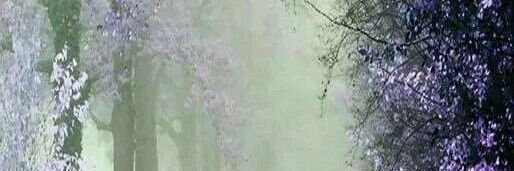 Capur7363's profile banner image
