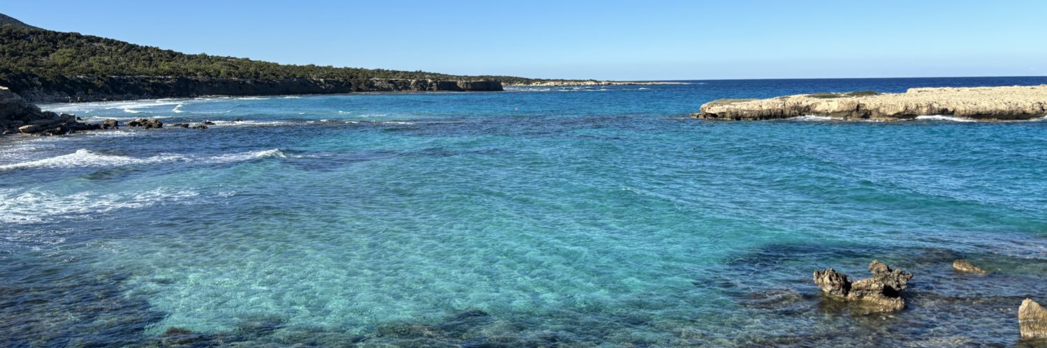 Nicos Prokopiou banner