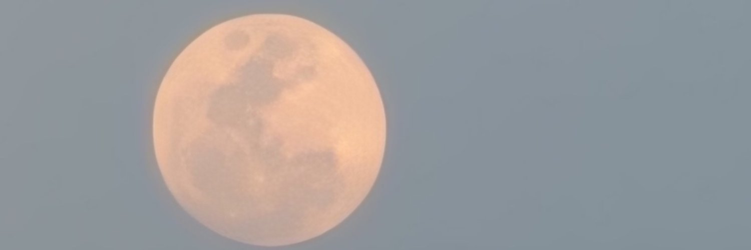 EWWWY's profile banner image