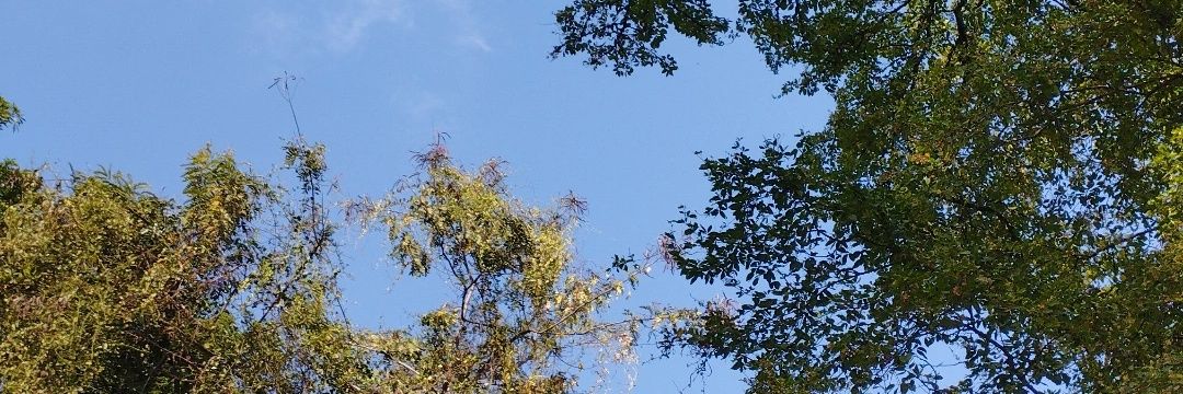 kathegar15's profile banner image