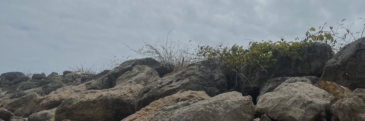 lveintimillab's profile banner image
