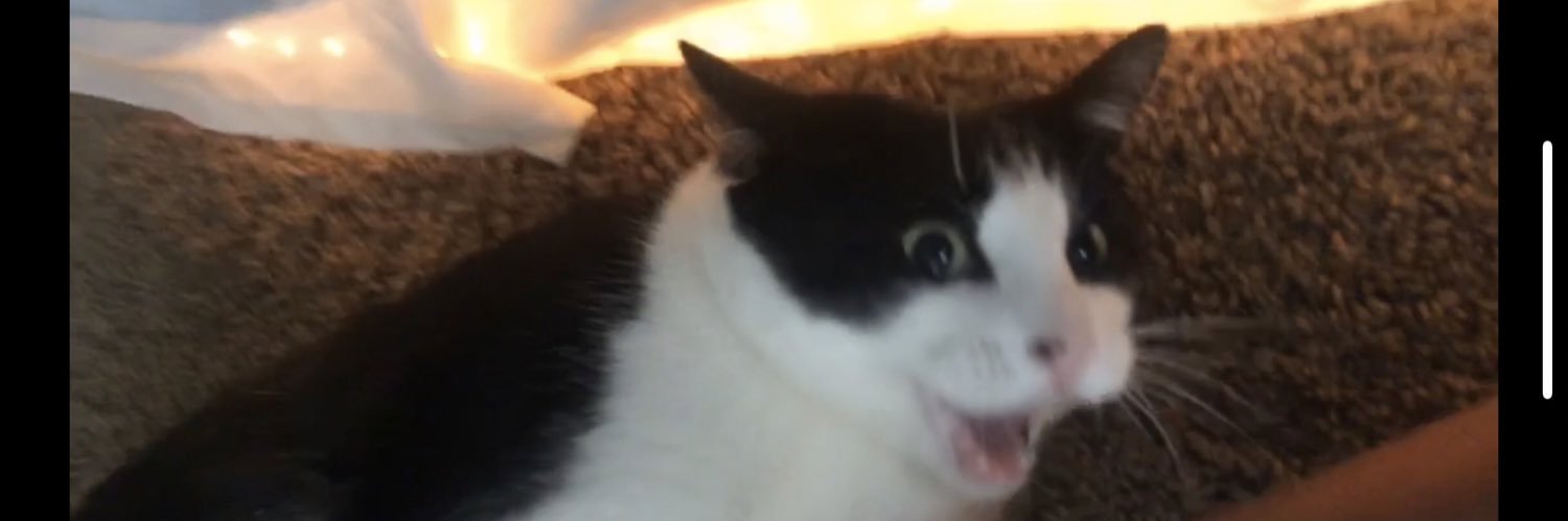 kevgod23's profile banner image