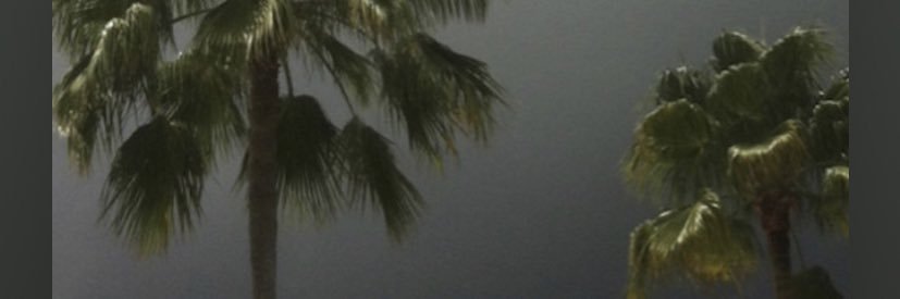 belockay__'s profile banner image