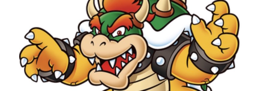 bowser 😂 banner