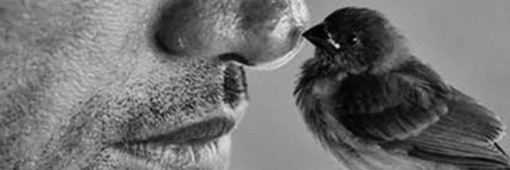 🇴🇲أبــوســـعـــود💕 banner