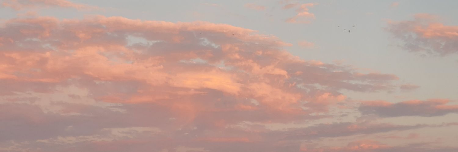 stmred_'s profile banner image