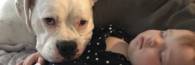 BartholomewJake's profile banner image