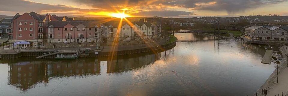 In The Cow Shed banner