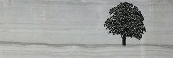 drpenaber's profile banner image