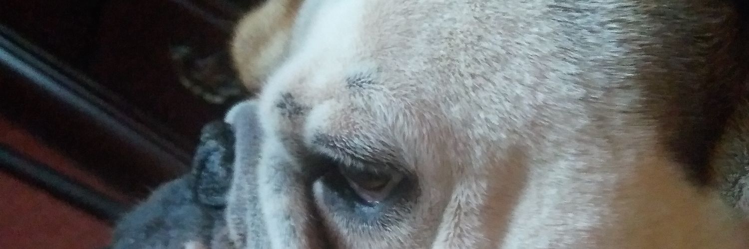 jbane959's profile banner image