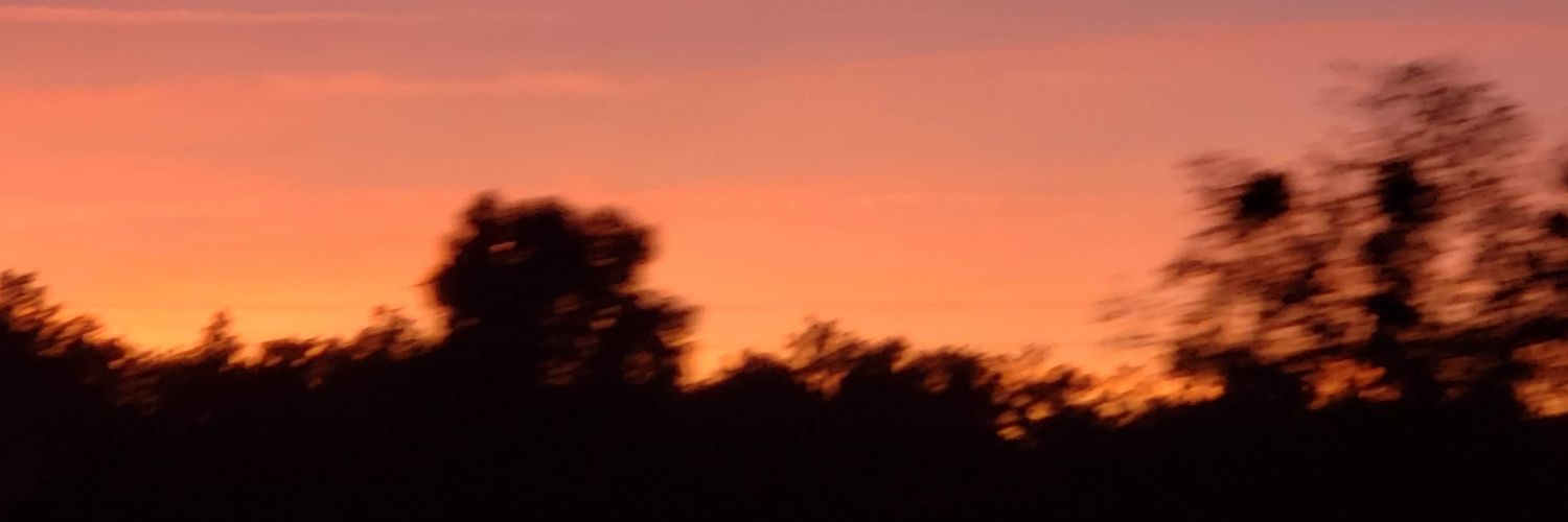hilskilsbugs's profile banner image