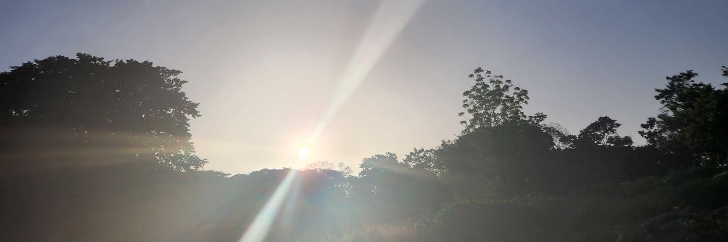 stefmarquez94's profile banner image