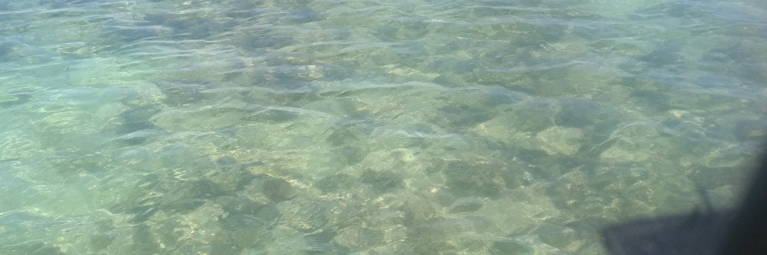 Rapaz Latino Americano banner