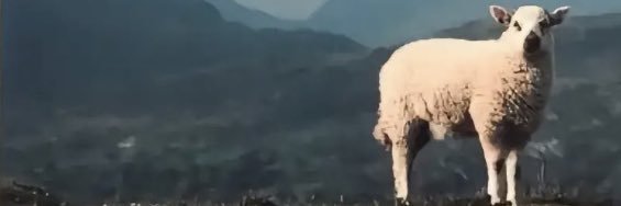 emmaaeliz's profile banner image