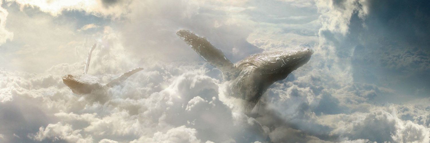 kjs22486's profile banner image
