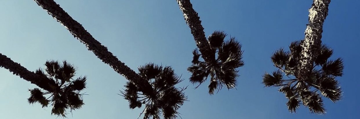 ysndrsn's profile banner image