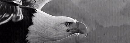 bareda2510's profile banner image