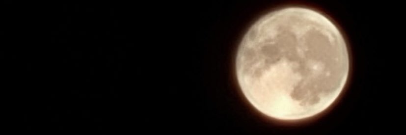 CalliePrice_'s profile banner image