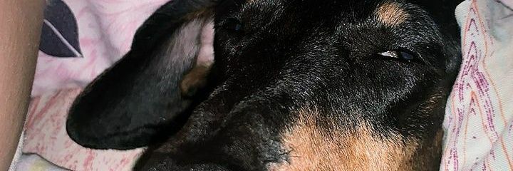 _jxsvxn's profile banner image