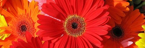 GLaval05's profile banner image