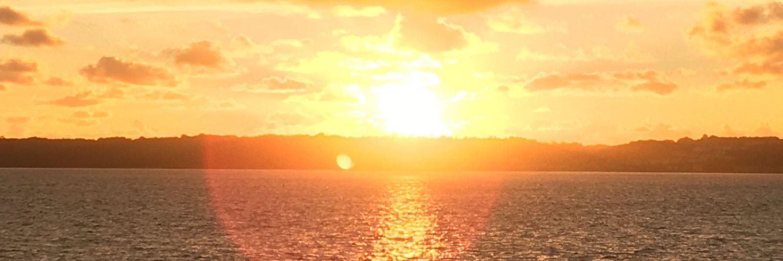 AgentDunhm's profile banner image