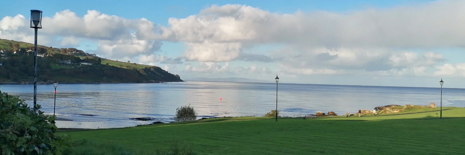 Orlaith Scullion banner