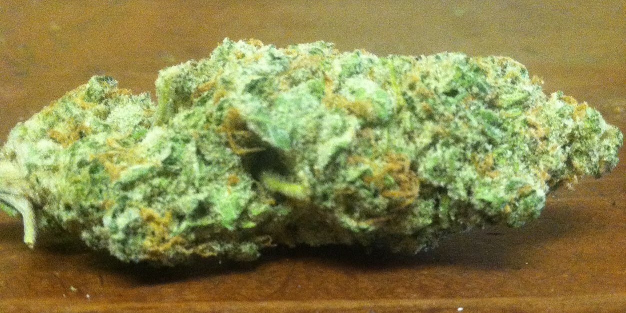 T_Oso Lifted⤴ banner