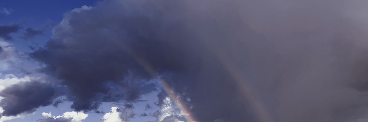 beev3_'s profile banner image