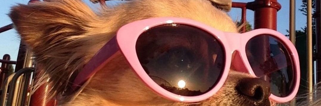 Ladyort03's profile banner image