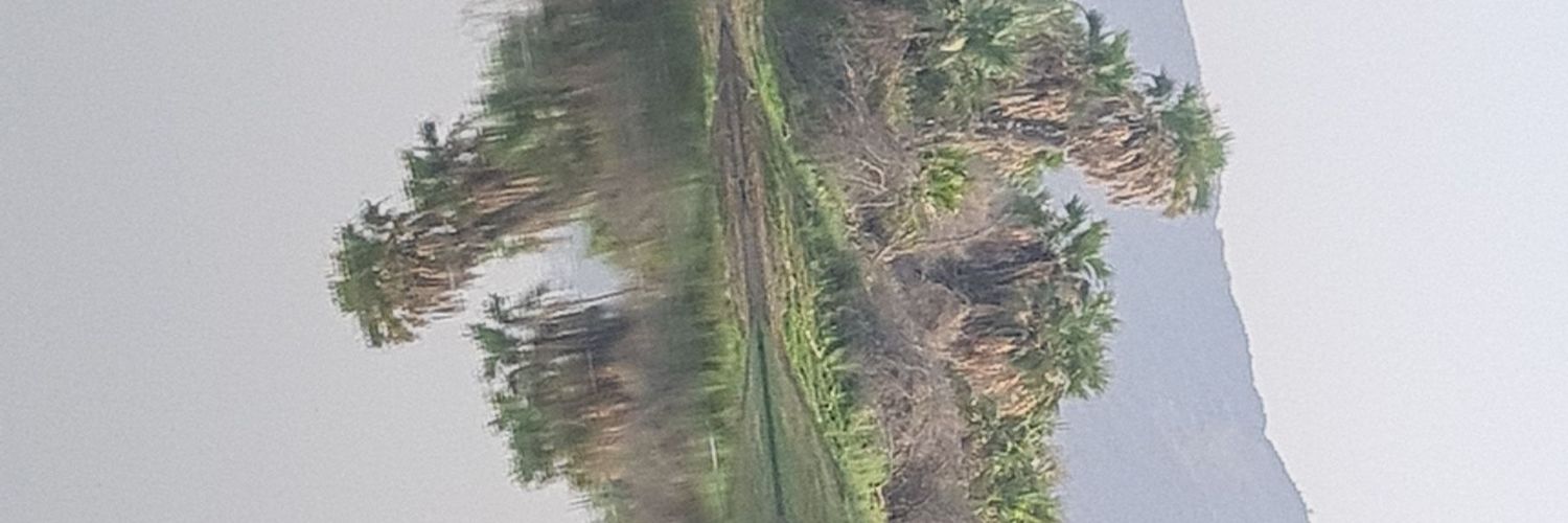es_maashy's profile banner image