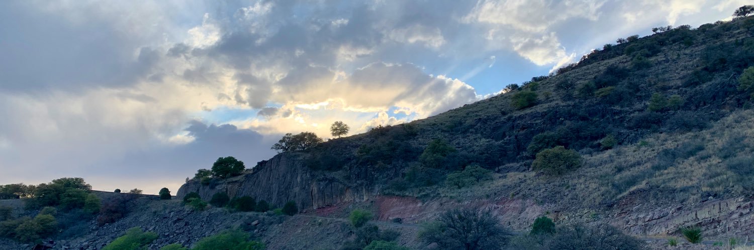 Hannah Horick banner