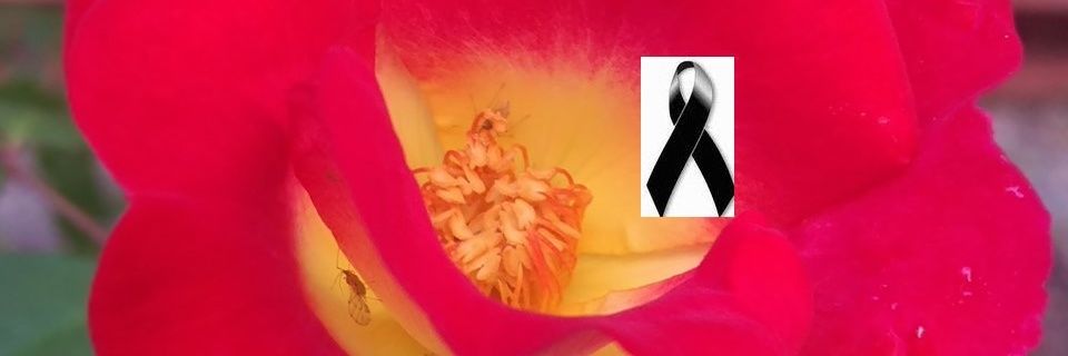 JORGE MONTALBO banner