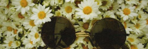 stevinn_'s profile banner image