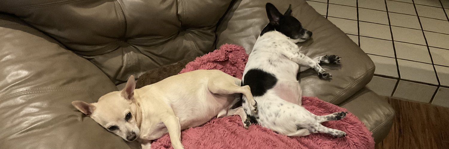 🇺🇸 Newton 🇺🇸 banner