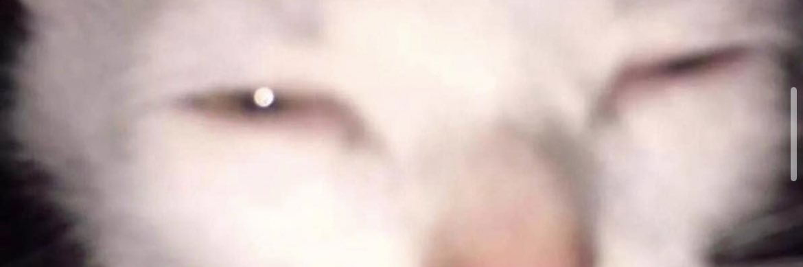 dimitree33's profile banner image