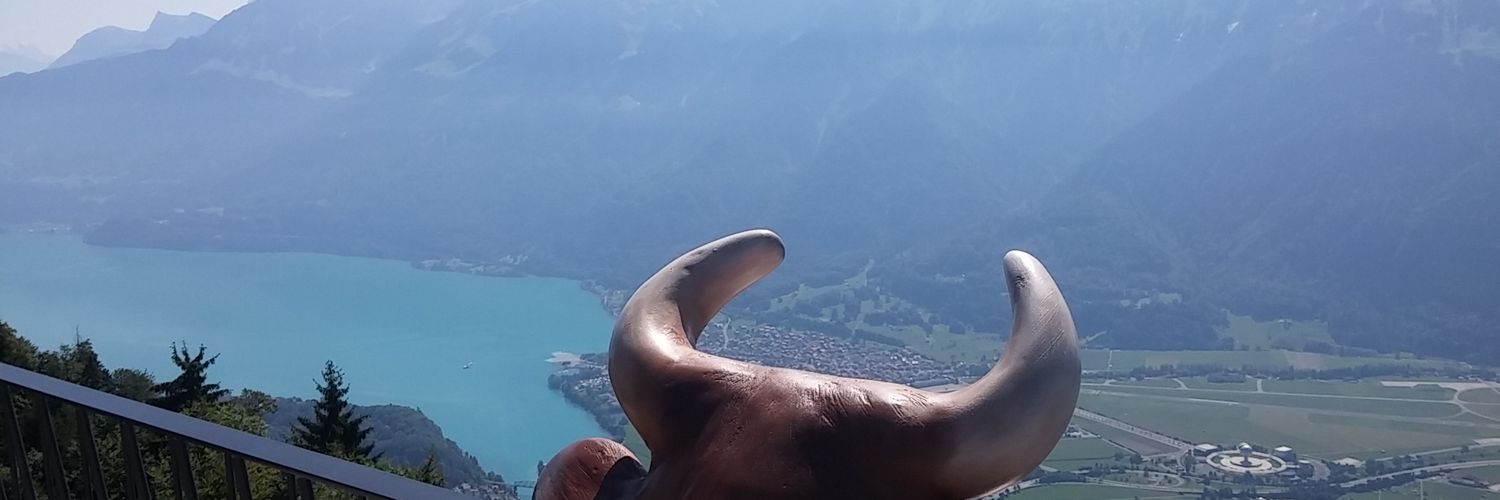 portikella's profile banner image