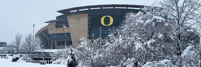 Quack Is Back 🦆 🏈 banner