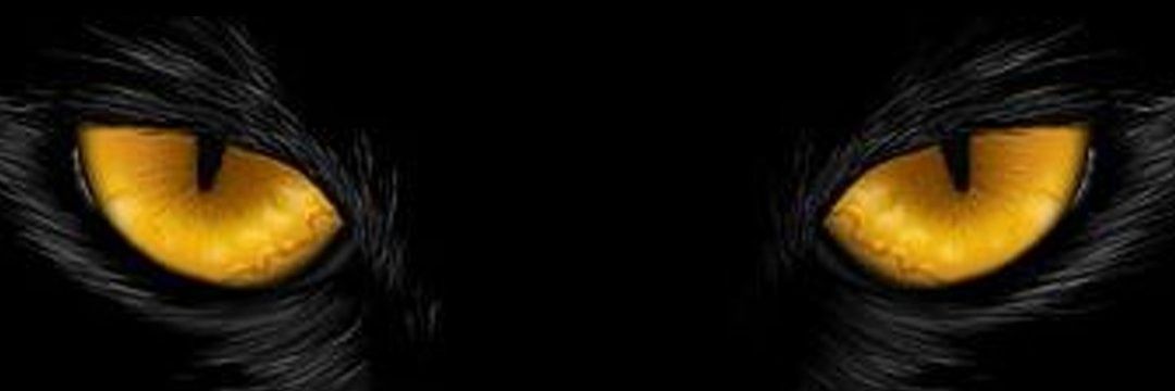 KayedAyed's profile banner image