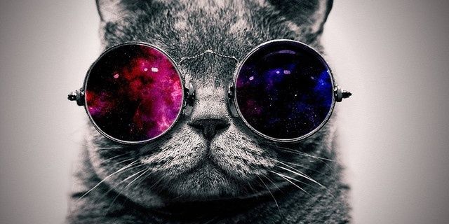 langner_jana's profile banner image