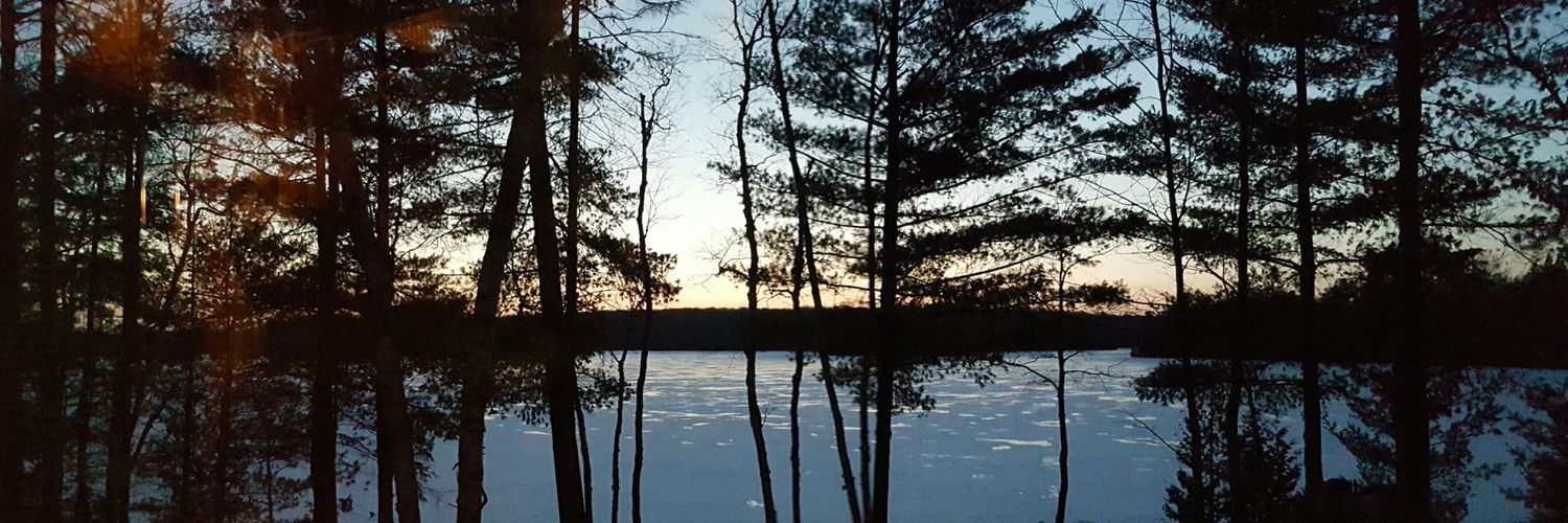 StineRoller's profile banner image