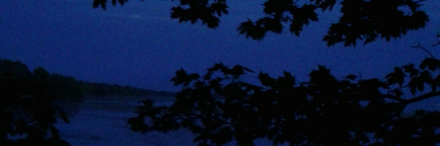 whyispico's profile banner image