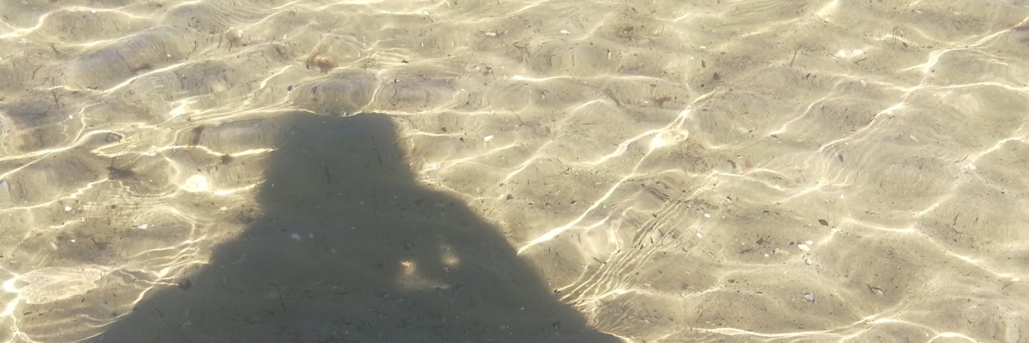 smashleigh55's profile banner image