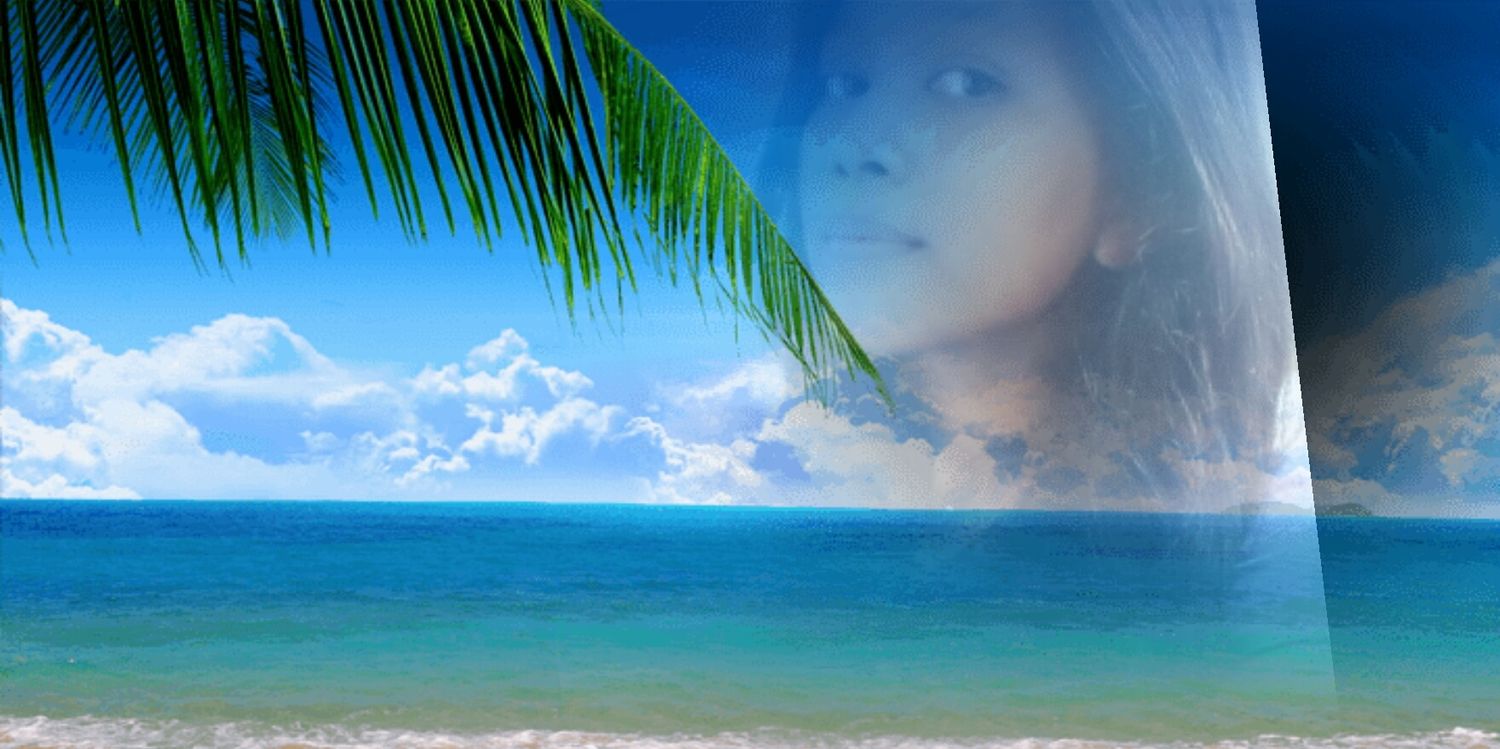 NidaIda3's profile banner image