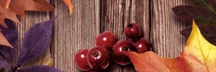 isabelpunta9247's profile banner image